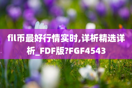 fil币最好行情实时,详析精选详析_FDF版?FGF4543