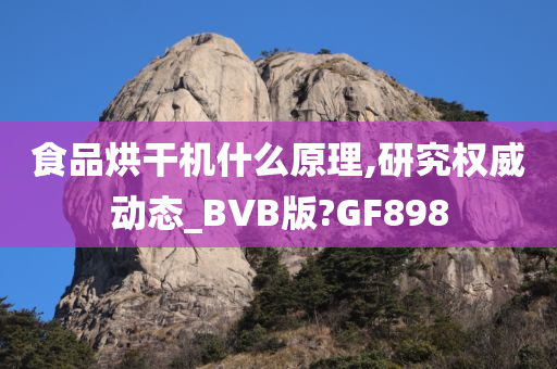 食品烘干机什么原理,研究权威动态_BVB版?GF898