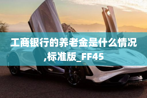 工商银行的养老金是什么情况,标准版_FF45