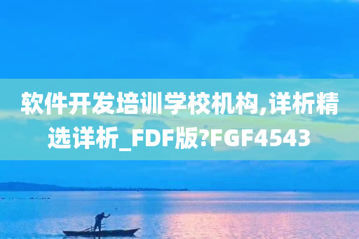 软件开发培训学校机构,详析精选详析_FDF版?FGF4543