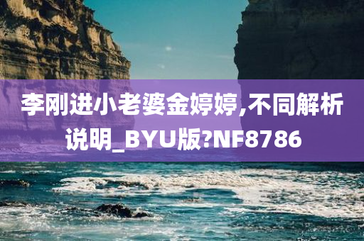 李刚进小老婆金婷婷,不同解析说明_BYU版?NF8786