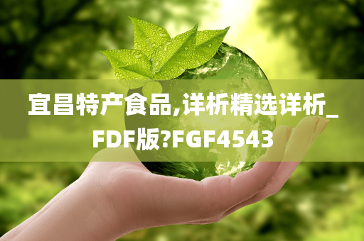 宜昌特产食品,详析精选详析_FDF版?FGF4543