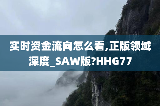 实时资金流向怎么看,正版领域深度_SAW版?HHG77