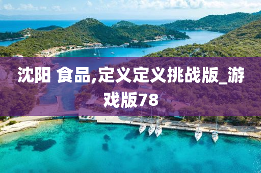 沈阳 食品,定义定义挑战版_游戏版78