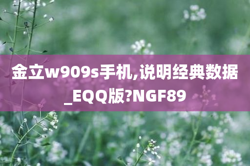 金立w909s手机,说明经典数据_EQQ版?NGF89