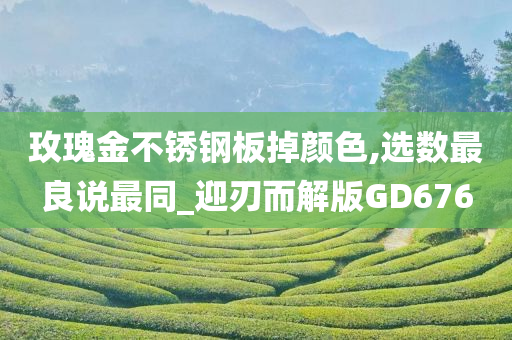 玫瑰金不锈钢板掉颜色,选数最良说最同_迎刃而解版GD676