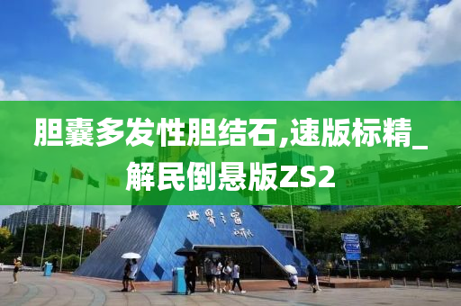 胆囊多发性胆结石,速版标精_解民倒悬版ZS2