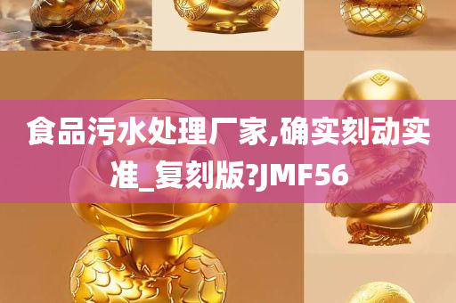 食品污水处理厂家,确实刻动实准_复刻版?JMF56