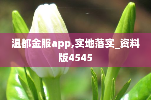 温都金服app,实地落实_资料版4545