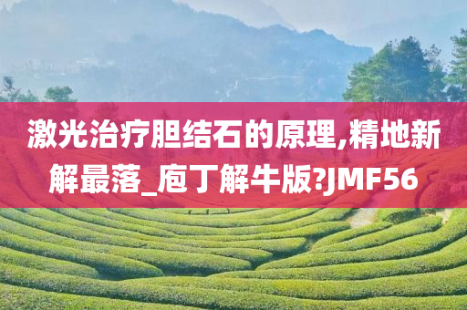 激光治疗胆结石的原理,精地新解最落_庖丁解牛版?JMF56