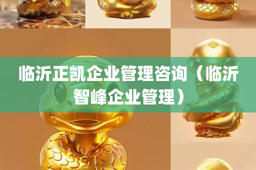 临沂正凯企业管理咨询（临沂智峰企业管理）