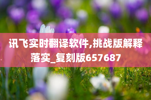 讯飞实时翻译软件,挑战版解释落实_复刻版657687