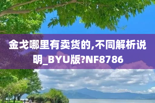 金戈哪里有卖货的,不同解析说明_BYU版?NF8786