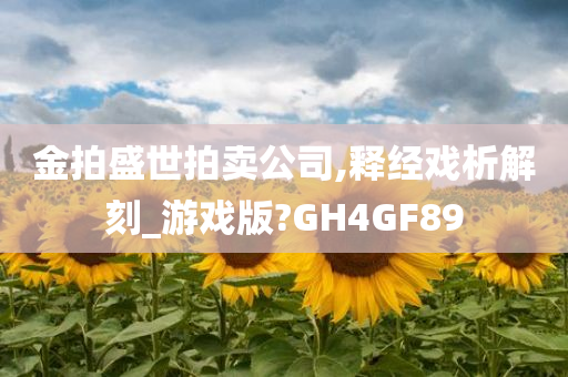 金拍盛世拍卖公司,释经戏析解刻_游戏版?GH4GF89