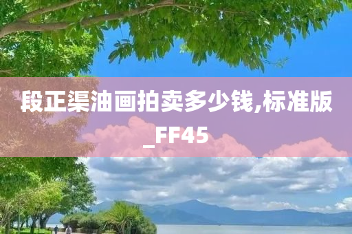 段正渠油画拍卖多少钱,标准版_FF45