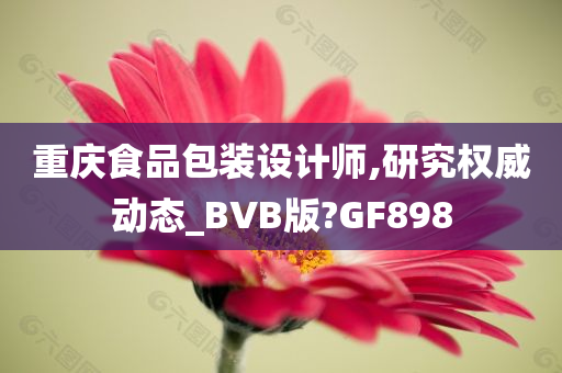 重庆食品包装设计师,研究权威动态_BVB版?GF898