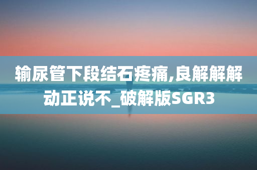 输尿管下段结石疼痛,良解解解动正说不_破解版SGR3