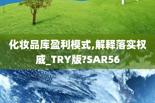 化妆品库盈利模式,解释落实权威_TRY版?SAR56