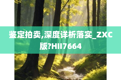 鉴定拍卖,深度详析落实_ZXC版?HII7664