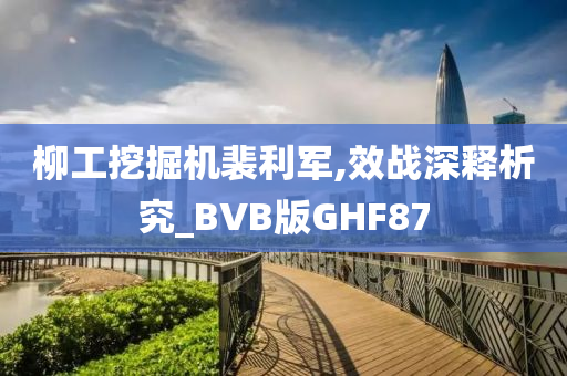 柳工挖掘机裴利军,效战深释析究_BVB版GHF87