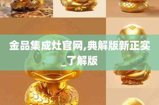 金品集成灶官网,典解版新正实_了解版