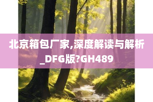 北京箱包厂家,深度解读与解析_DFG版?GH489