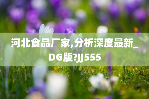 河北食品厂家,分析深度最新_DG版?JJ555