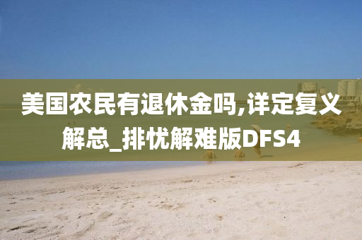 美国农民有退休金吗,详定复义解总_排忧解难版DFS4