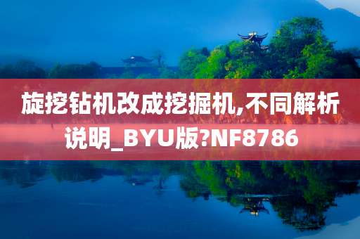 旋挖钻机改成挖掘机,不同解析说明_BYU版?NF8786