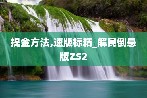 提金方法,速版标精_解民倒悬版ZS2