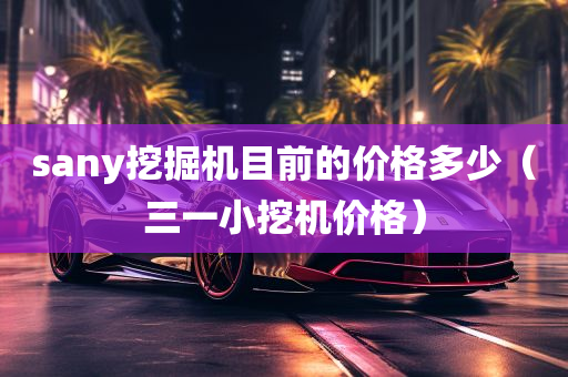 sany挖掘机目前的价格多少（三一小挖机价格）