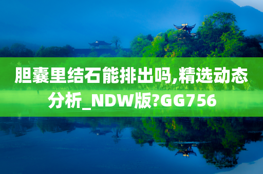 胆囊里结石能排出吗,精选动态分析_NDW版?GG756