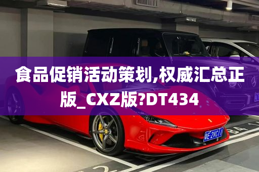 食品促销活动策划,权威汇总正版_CXZ版?DT434