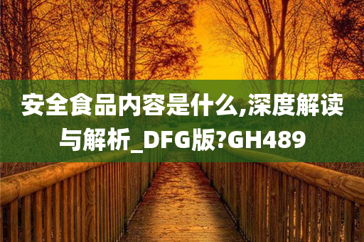 安全食品内容是什么,深度解读与解析_DFG版?GH489