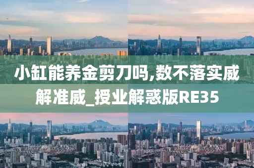 小缸能养金剪刀吗,数不落实威解准威_授业解惑版RE35