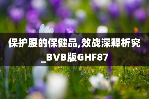 保护腰的保健品,效战深释析究_BVB版GHF87