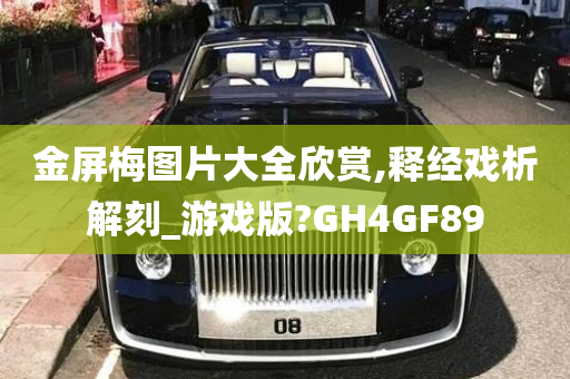 金屏梅图片大全欣赏,释经戏析解刻_游戏版?GH4GF89