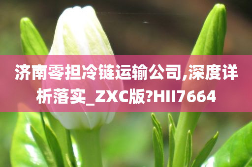 济南零担冷链运输公司,深度详析落实_ZXC版?HII7664