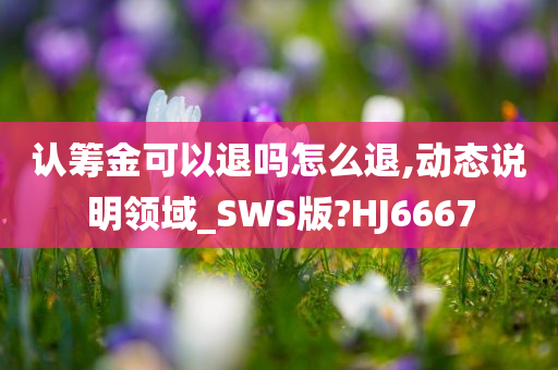 认筹金可以退吗怎么退,动态说明领域_SWS版?HJ6667