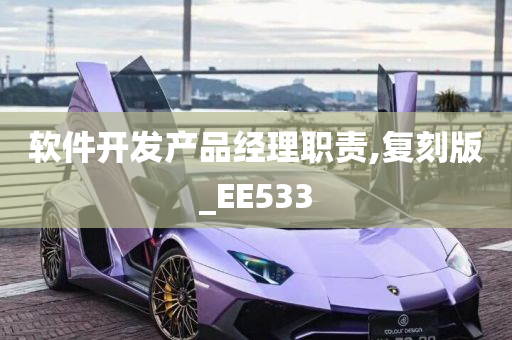 软件开发产品经理职责,复刻版_EE533