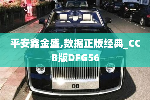 平安鑫金盛,数据正版经典_CCB版DFG56