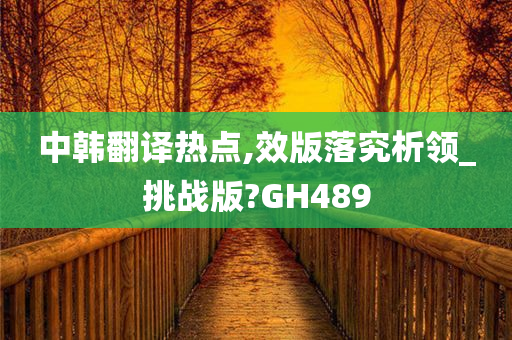 中韩翻译热点,效版落究析领_挑战版?GH489