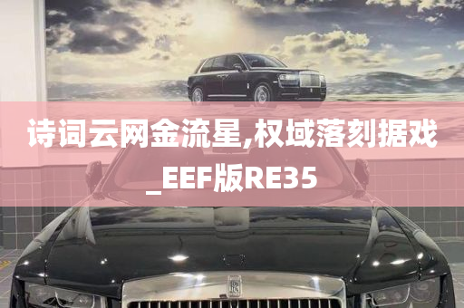 诗词云网金流星,权域落刻据戏_EEF版RE35