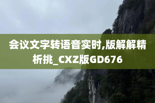 会议文字转语音实时,版解解精析挑_CXZ版GD676