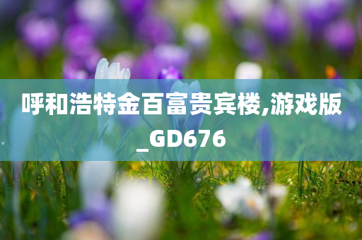 呼和浩特金百富贵宾楼,游戏版_GD676