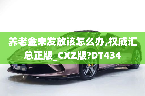 养老金未发放该怎么办,权威汇总正版_CXZ版?DT434