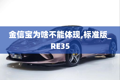 金信宝为啥不能体现,标准版_RE35