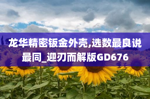 龙华精密钣金外壳,选数最良说最同_迎刃而解版GD676