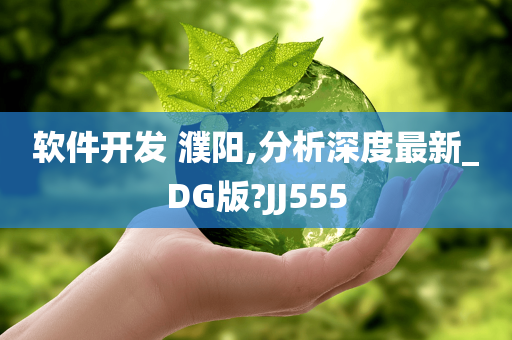 软件开发 濮阳,分析深度最新_DG版?JJ555