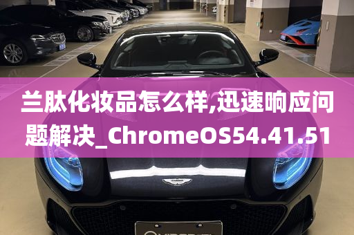 兰肽化妆品怎么样,迅速响应问题解决_ChromeOS54.41.51